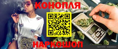 Альфа ПВП Бийск