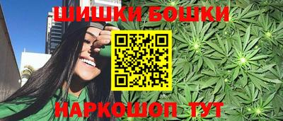 Альфа ПВП Бийск