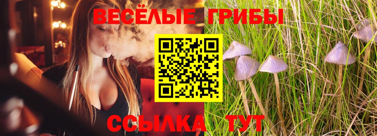 Галлюциногенные грибы Cubensis Ирбит